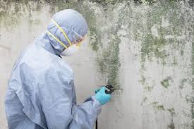 Best Emergency Mold Remediation  in Union Point, GA